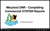 Oyster Reports