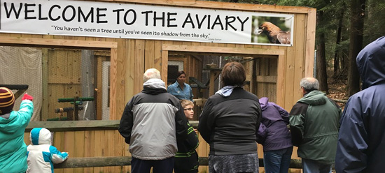 View from outside the aviary with birds in their pens
