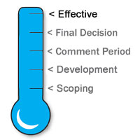 Thermometer Graphic - Effective