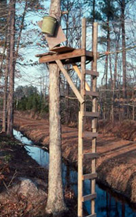 A tree stand erected by a hunt club that leased hunting rights