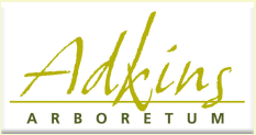 Adkins Arboretum Logo