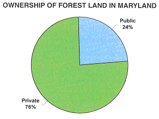 ownership of forest land in maryland is 76% private, 24% public