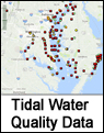 Tidal Water Quality Data
