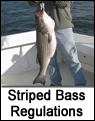 Striped Bass Regulations