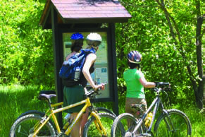 Bicycle riders in Green Ridge State Forest