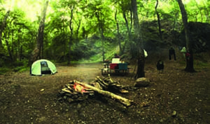 Primitive camp site in Green Ridge State Forest