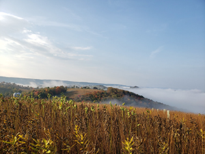 Fog lays in the valley over Blue Lick Run trimmed with fall foliage, photo by Melissa Nash