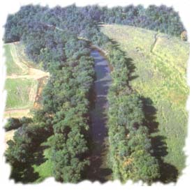 [A prime example of a Riparian Forest Buffer, an area of the Monocacy River Frederick County.]