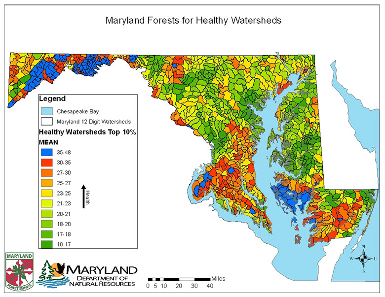 Maryland Forests for Healthy Watersheds