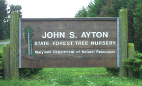 Picture of the Nursery Sign.