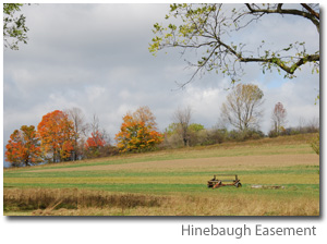 Photo Hinebaugh Easement - a field in Autumn