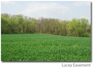 Photo of Lucey Easement - big green open field