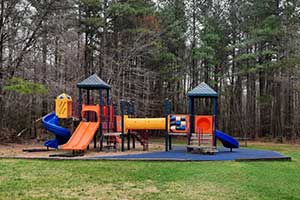 Playground at the forest