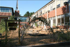 Tree Branch Tunnel at Brown Memorial Weekday School