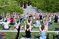Yoga class in  The Olympic Sculpture Park in Seattle, WA