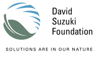 Ex2_David_Suzuki_Foundation_Logo.png