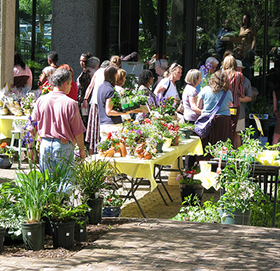 Annual Spring Plant Sale hosted by the Friends of Tawes Garden