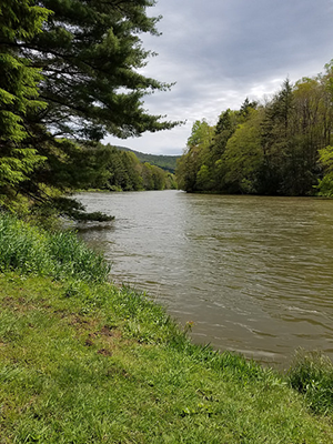 Youghiogheny Scenic and Wild River, photo by Roy Musselwhite