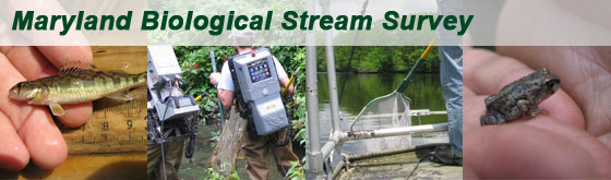 Maryland Biological Stream Survey Cover