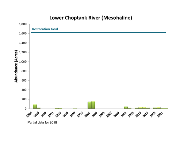 Lower Choptank River (Mesohaline)