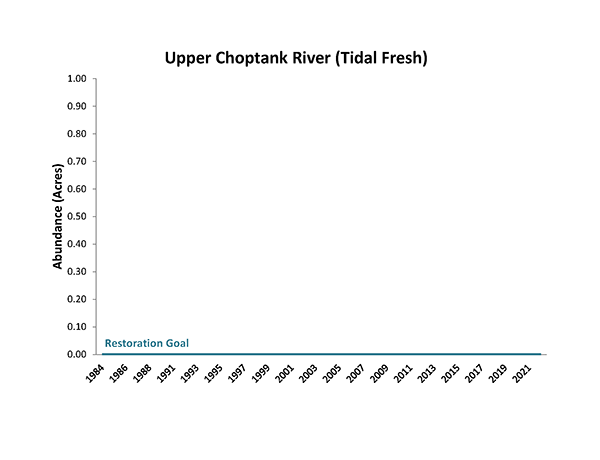 Upper Choptank River (Tidal Fresh)