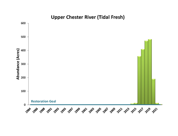 Upper Chester River (Tidal Fresh)