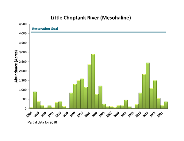 Little Choptank River (Mesohaline)