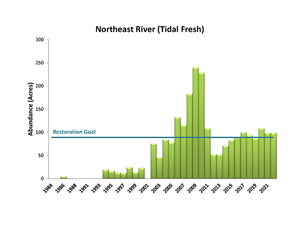Northeast River (Tidal Fresh)