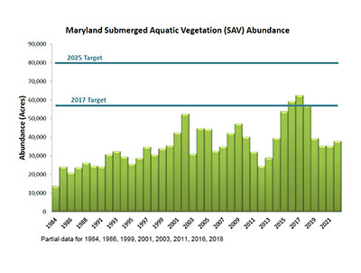 Maryland SAV Coverage Graph