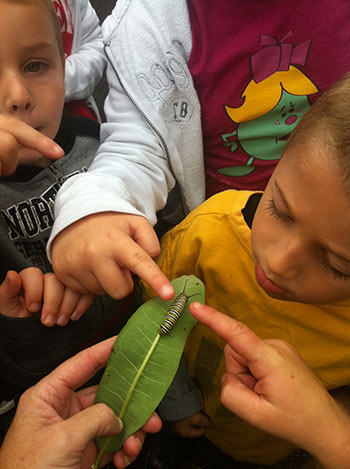 Students inspecting caterpillar on a leaf by Caroline Blizzard