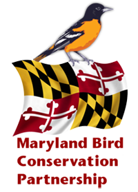 Maryland Bird Conservation Partnership