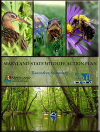 Cover of State Wildlife Action Plan Executive Summary