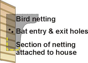 Illustration showing how to attach one-way bat door to house
