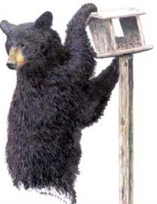 Illustration by Wade Henry of lack bear climbing bird feeder