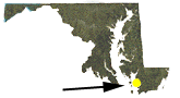 Maryland map showing approxmate location of Deal Island WMA