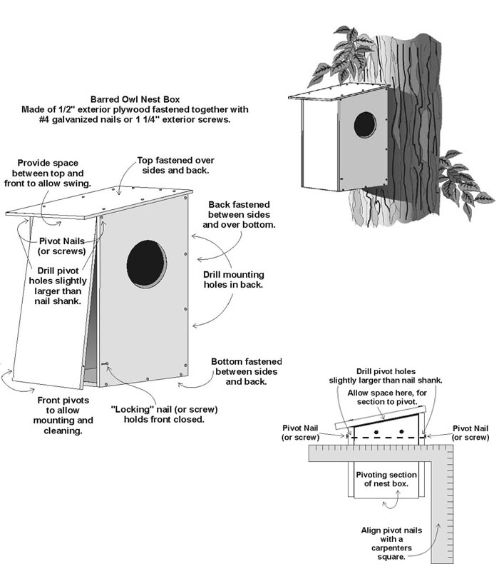 Illustration of Barred owl next box and assembly plans